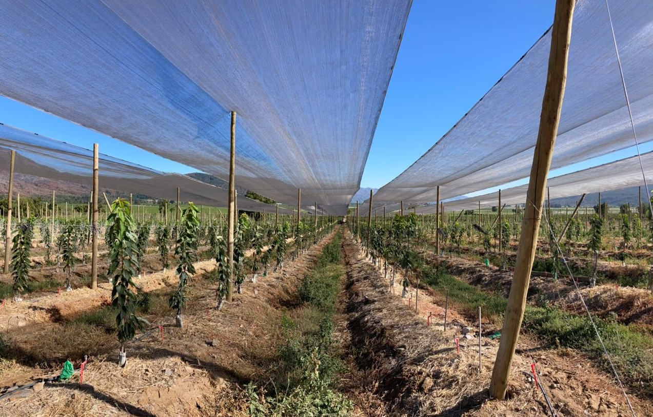 Agrifresh