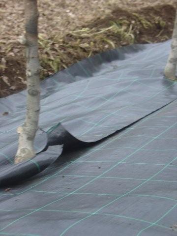 AGRISOIL-CS-N-100-solape.jpg