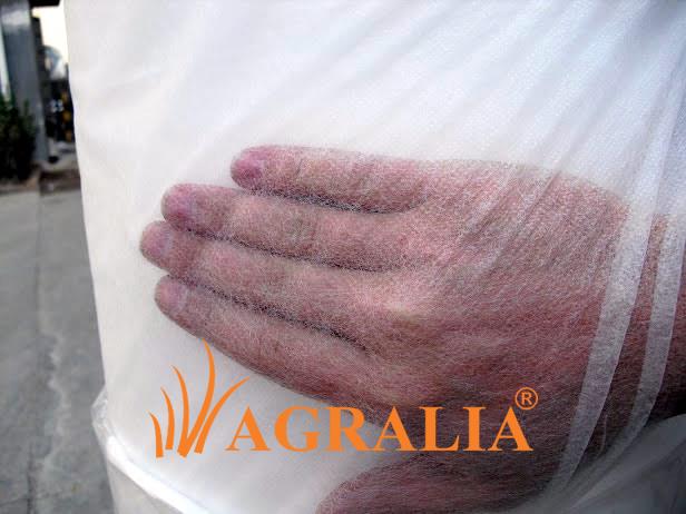 Agralia-productos-Agrisafe-TNT2.jpg