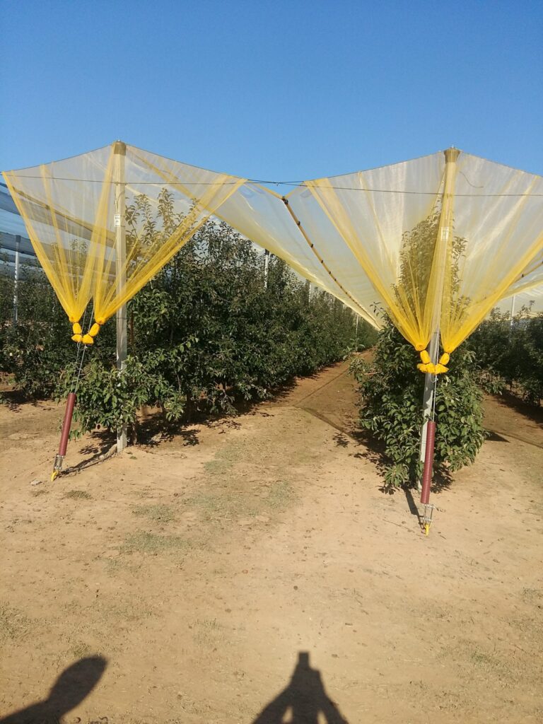 Agricolor-ML-16-Amarillo-scaled.jpg