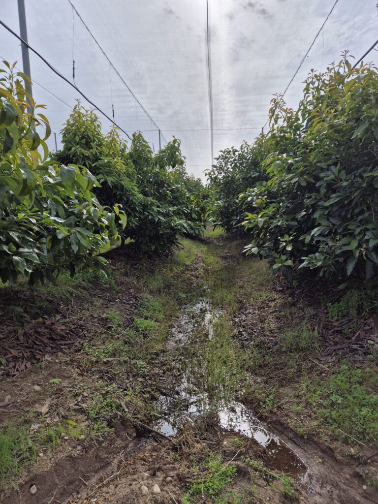 Agricolor-Nacar-Aluminio--scaled.jpg
