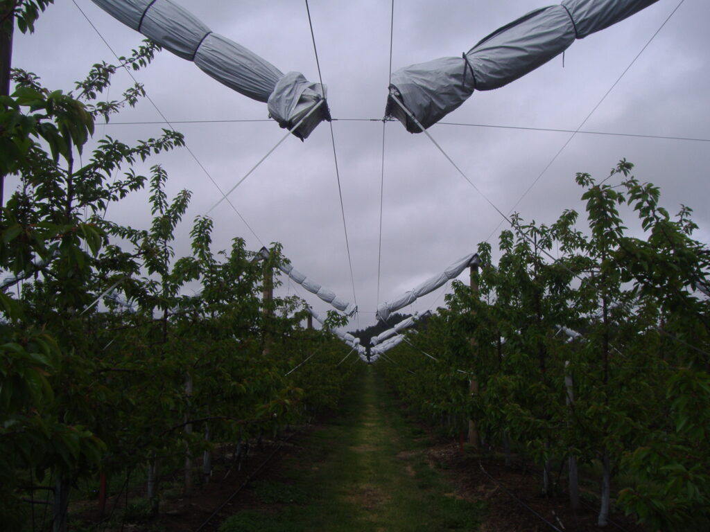 Agricover-PS-2.jpg