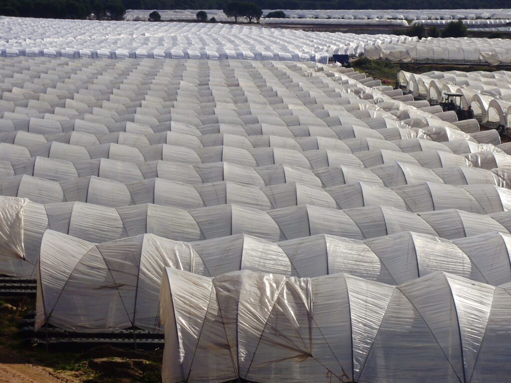 Agricover-R-10.3-scaled.jpg