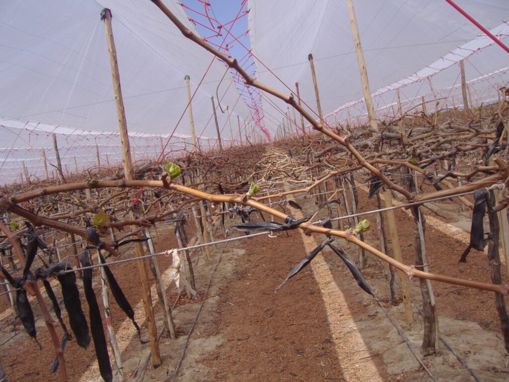 Agricover-U.jpg