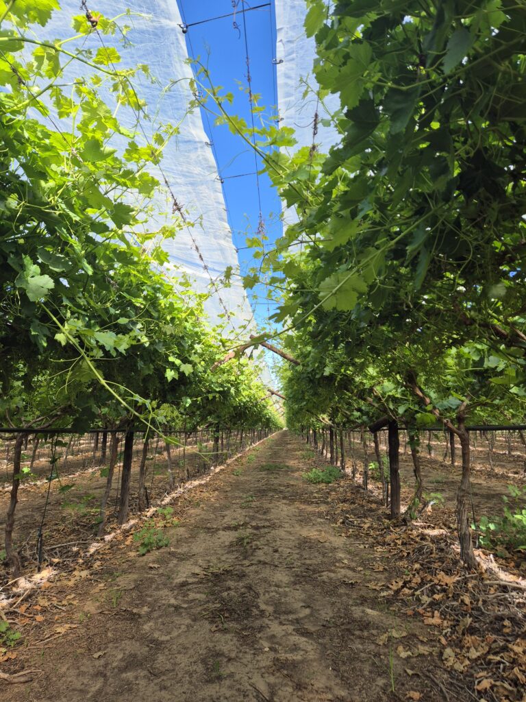 Agricover U (2)
