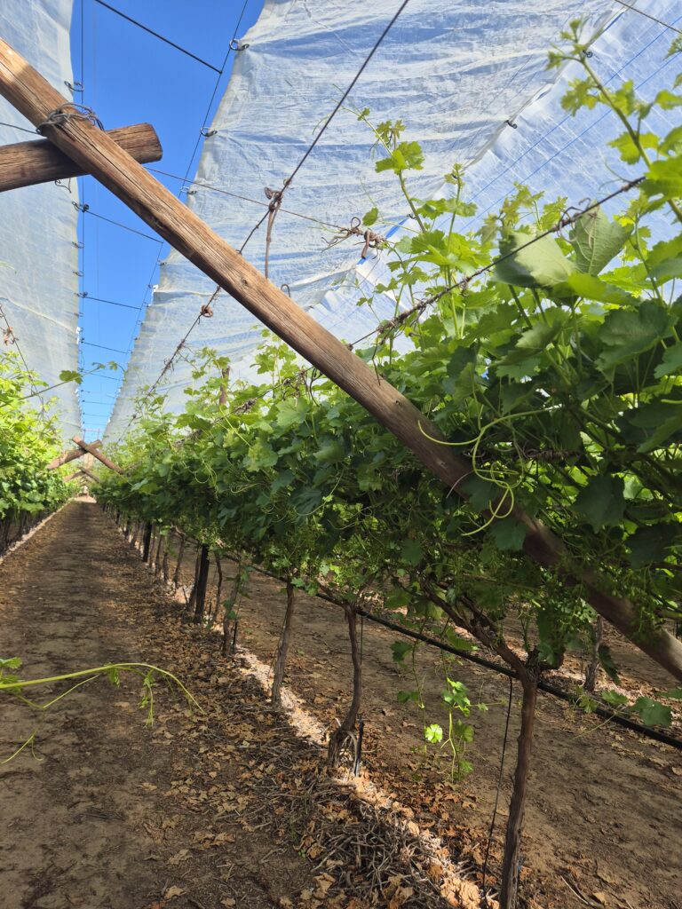 Agricover U