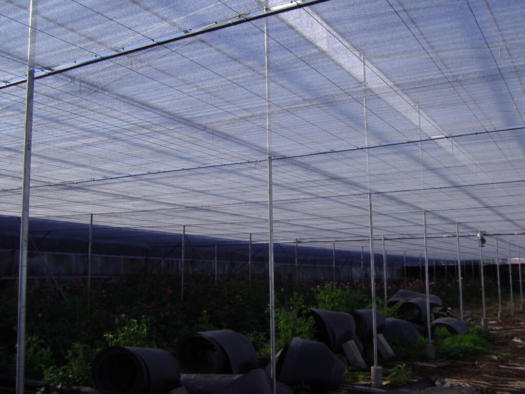 Agrifresh-sistema-movil.Rosas_.jpg