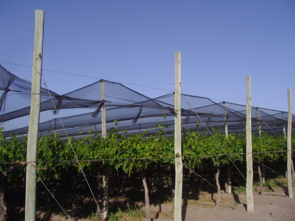 Agrisafe-AG-ML-50.6.jpg
