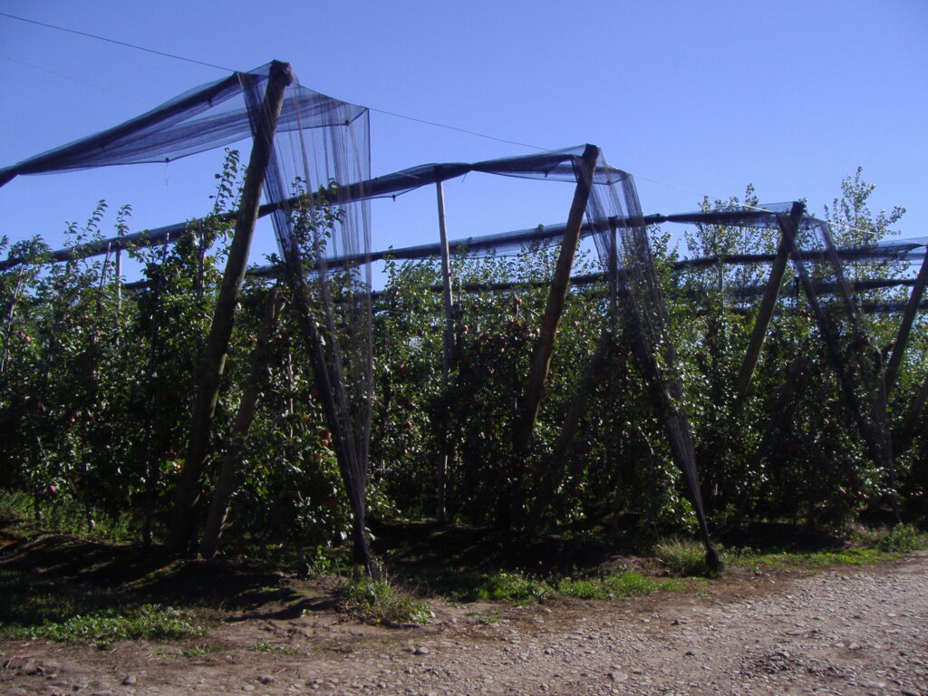 Agrisafe-AG-R-Anti-granizo-Rachel1.jpg