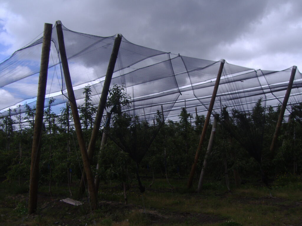 Agrisafe-AGR-60.jpg
