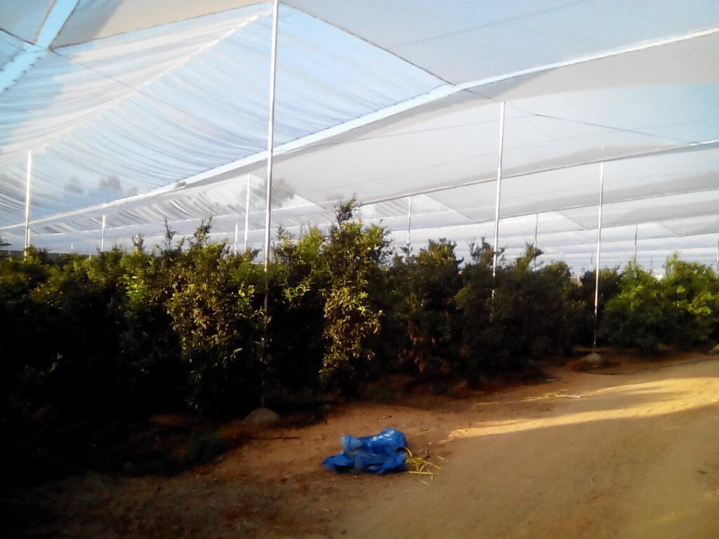 Agrisafe-CV-6x6-Movil-2.jpg