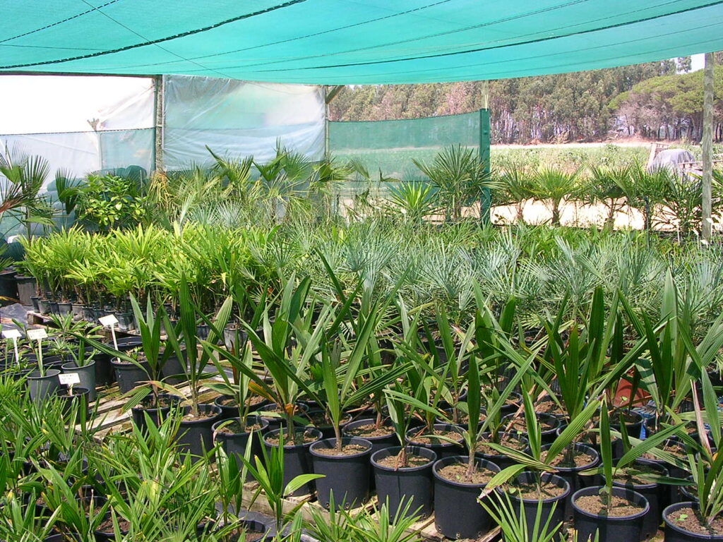 Agrishade-RR-80-Verde-Ornamentales.jpg
