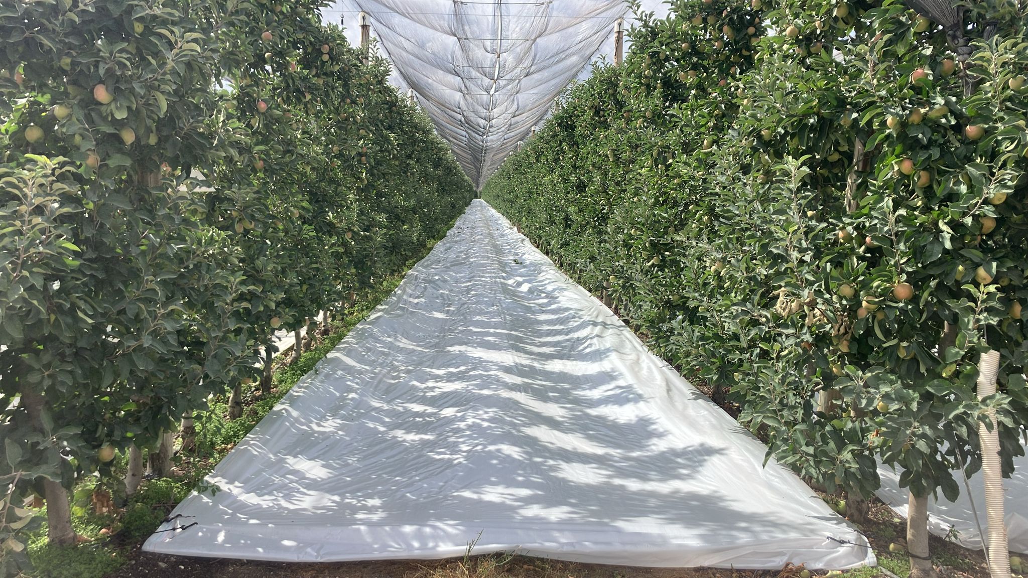 Agrisoil LUX