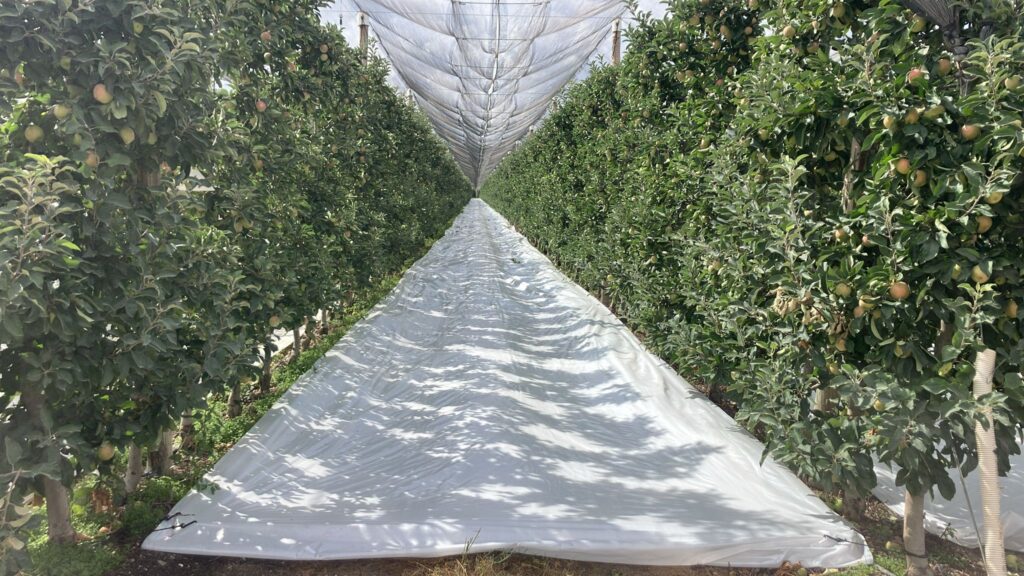 Agrisoil-LUX-1-1.jpg