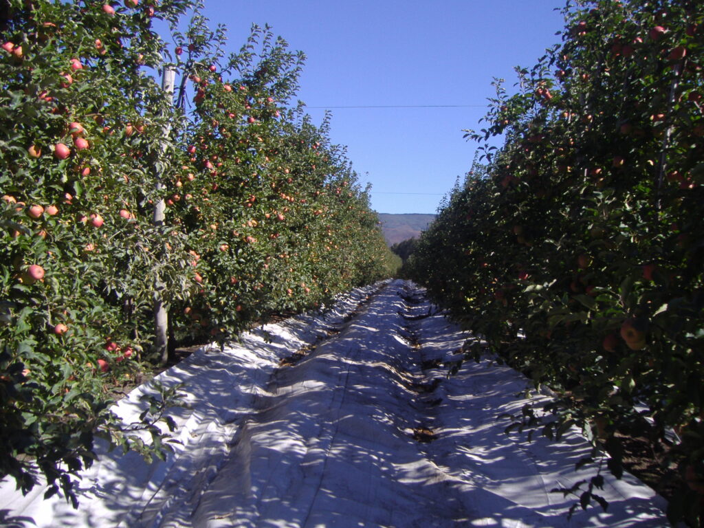 Agrisoil-LUX-Manzanos-1-1.jpg