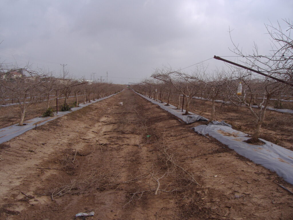 Agrisoil-LUX-S.jpg