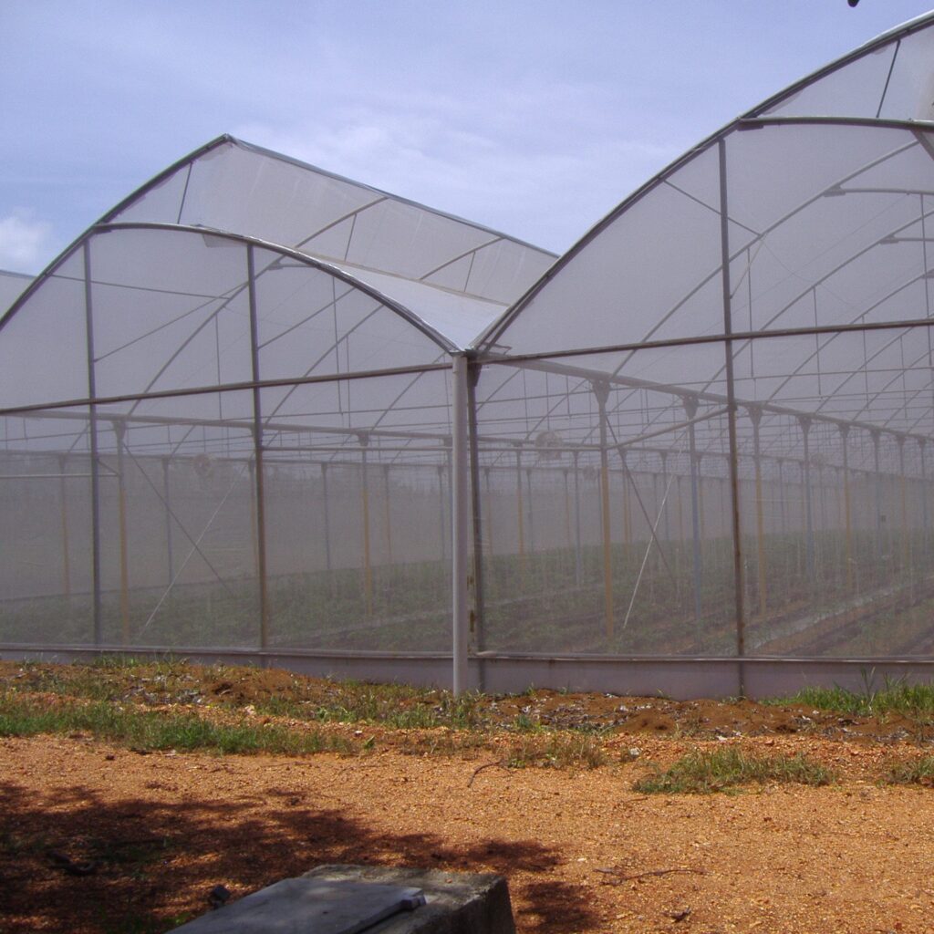 Agristop-AIN-40-mesh.16x10.-Pimientos.3.jpg
