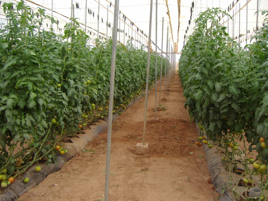 Agristop-AIN-50-mesh.jpg