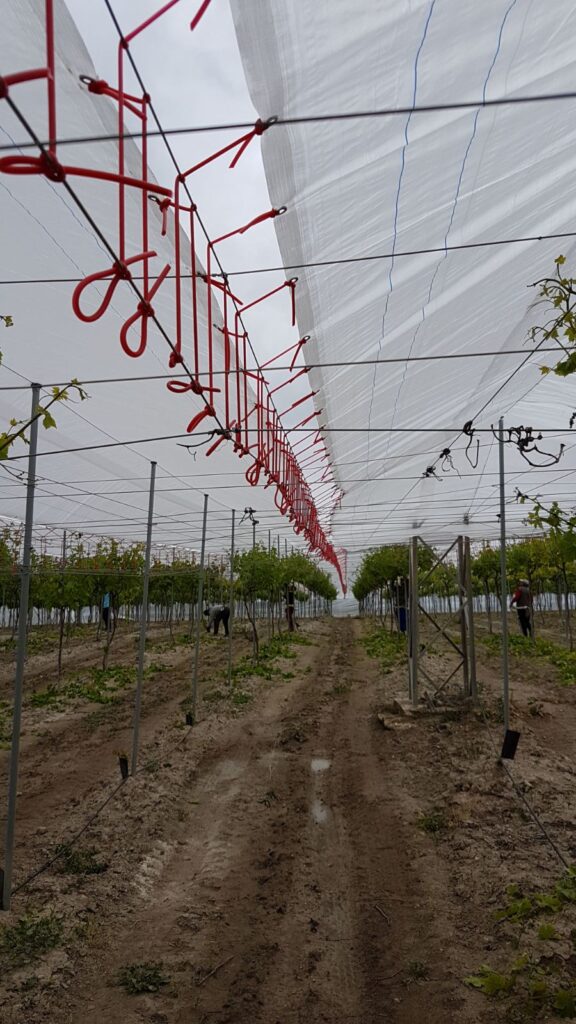 Para-cambiar-en-Agricover-U.jpg