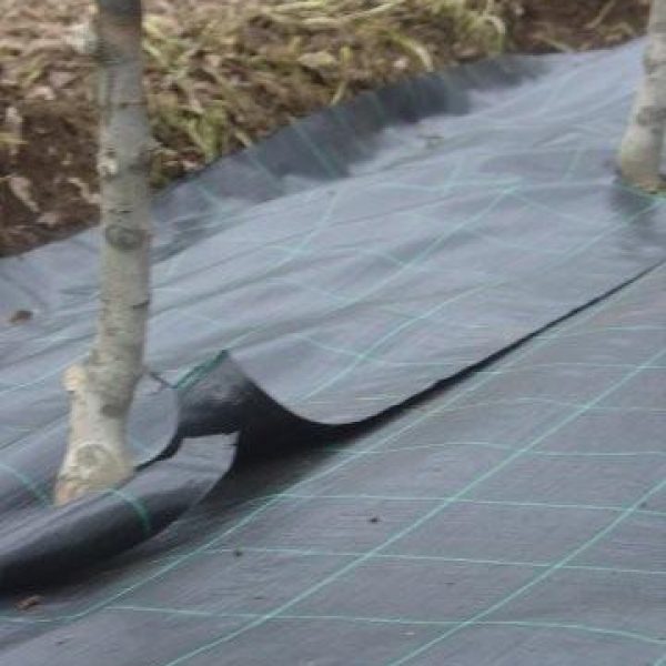 AGRISOIL-CS-N-100-solape