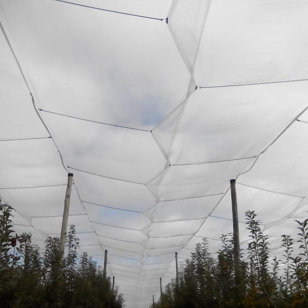 Agrisafe-AG-ML-50