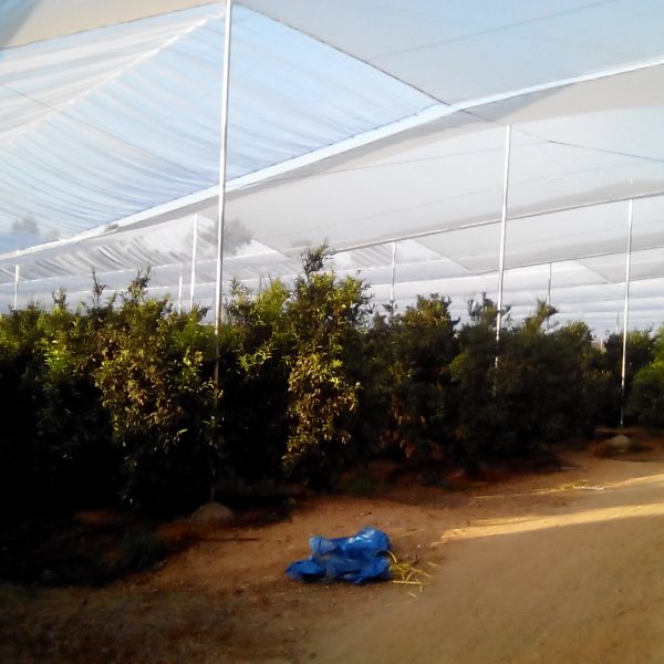 Agrisafe-CV-6x6-Móvil-2