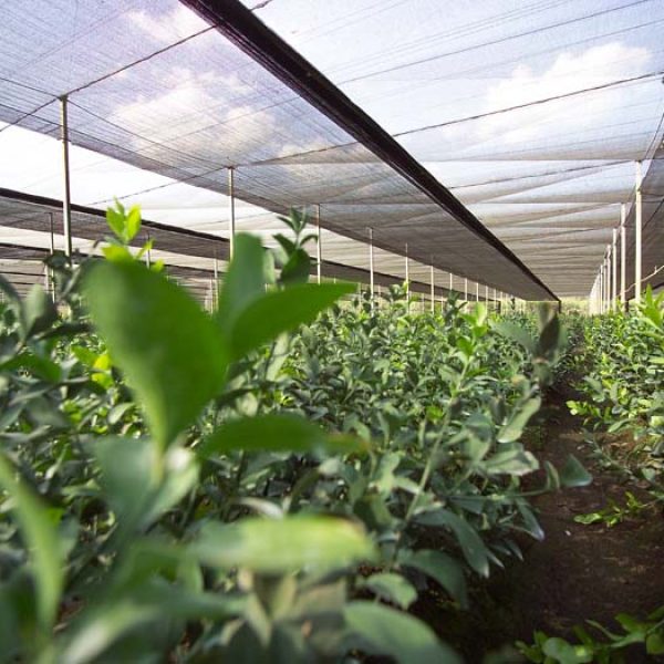 Agrishade-RR-40